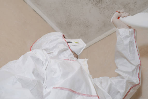 Best Kitchen Mold Remediation in Madill, OK